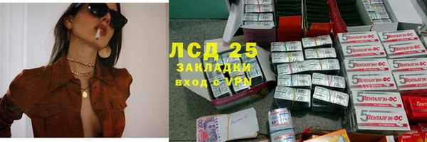 гидра Алексин
