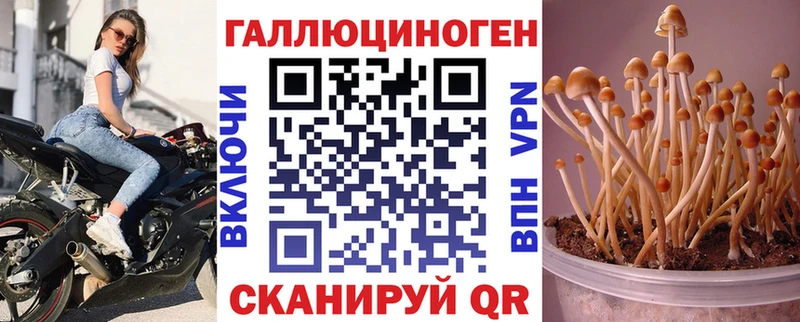 kraken маркетплейс Ивдель Галлюциногенные грибы Cubensis